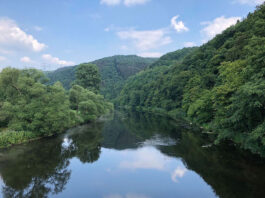 Natursteig Sieg Etappe 6