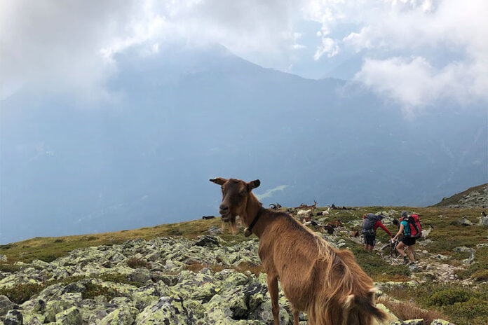 Zams nach Wenns; Alpenüberquerung E5