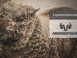 Merinoweolle-Experteninterview-Merinopower