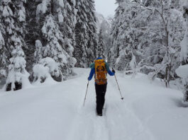 Winterwandern Tipps