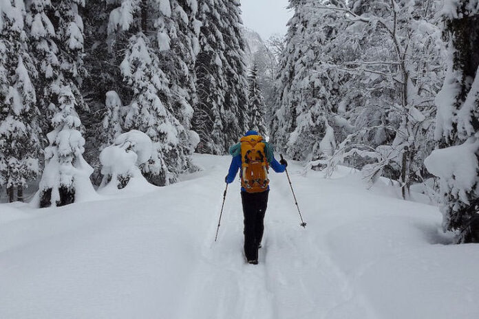 Winterwandern Tipps