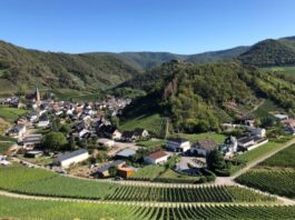 Rundwanderung Ahr: Blick auf Mayschoß