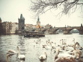 Städtereise Prag