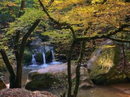Mullerthal Trail Wandern