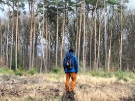 Produkttest Naturno Tourenhose von Maier Sports