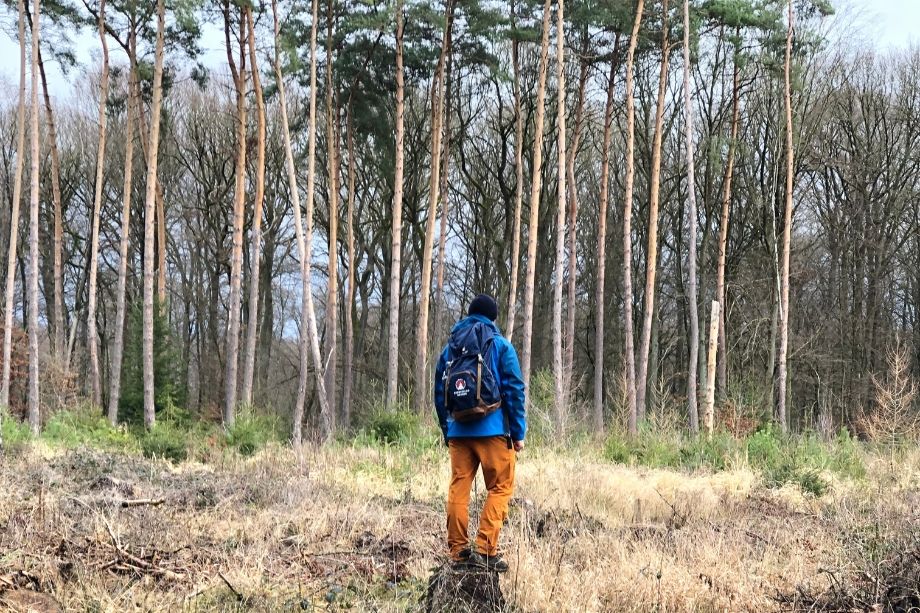 Produkttest Naturno Tourenhose von Maier Sports