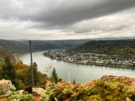 Rheinsteig - Fernwanderweg