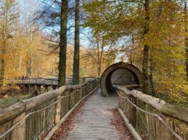 Wandern in der Eifel