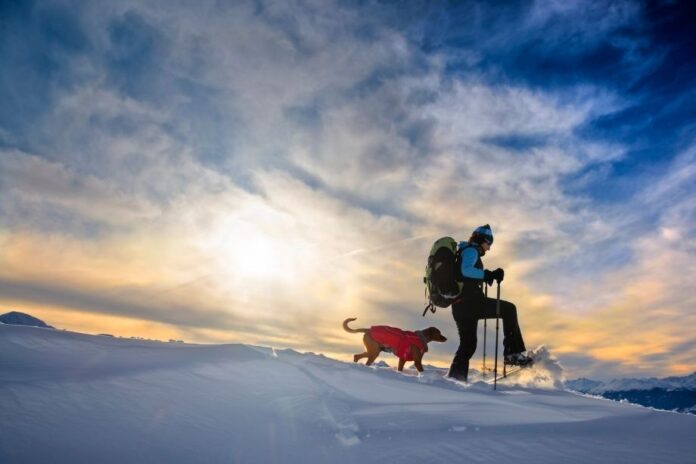 Schneeschuhwandern mit Hund Tipps