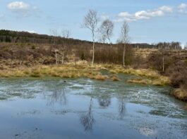 geheimtipps weserbergland wandern solling-vogler-region