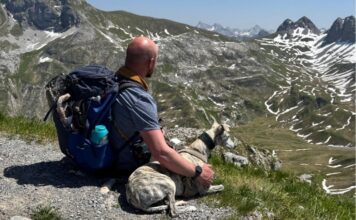 Wandern mit Hund im Lechtal: Meine Top-Touren, E5-Erlebnisse & Geheimtipps Wandern im Lechtal